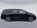 2026 Honda ODYSSEY EXL EX-L