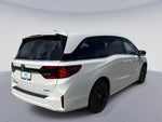 2026 Honda ODYSSEY SPORT-L Sport-L