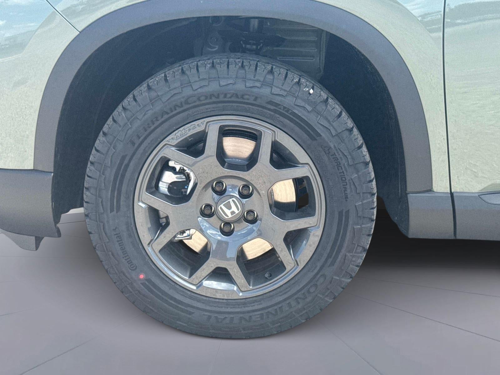 2026 Honda PILOT TRAILSPOR TrailSport