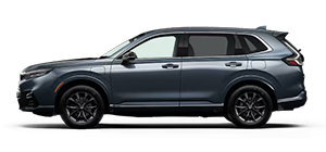 Holler Honda in Orlando FL